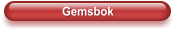 Gemsbok