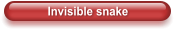 Invisible snake