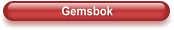 Gemsbok