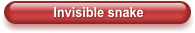 Invisible snake