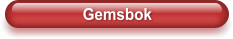 Gemsbok