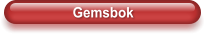 Gemsbok
