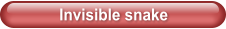 Invisible snake