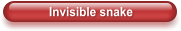 Invisible snake
