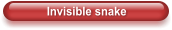 Invisible snake